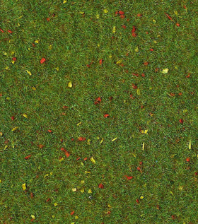Vert 'Prairie'