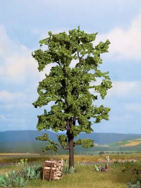 Végétation miniature : Tilleul 18.5 cm - Noch 21780