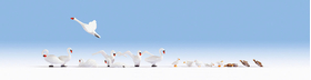 Figurines miniatures : Cygnes et canards  - Noch 15774