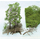 Heki 1533 - 10 arbres à construire 18 cm
