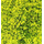 Heki 1560 - Flocage d'arbres et buissons. Sac de 200 ml. Feuillage vert clair