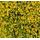 Heki 1566 - Flocage d'arbres et buissons. Sac de 200 ml. Feuillage automne