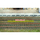Vegétation miniature : Heki 1818 : bandes d'herbe 10 cm 1:87