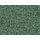 Heki 1689 : Feuillage saule