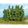 Heki 1925 - 10 Arbres miniatures 11-13 cm