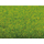 Végétation miniature : Tapis d'herbe printemps 200 x 100 cm - Noch 00010