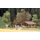 Busch 1035 - Cabane en bois 1:87 - HO