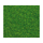 Flocage vert clair - Faller 170702