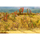 Arbres décoratifs miniatures 1:87-1:160 - Faller 181252