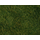 Végétation miniature : Flocage vert clair herbes sauvages 20 x 23 cm - Noch 07280