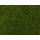 Végétation miniature : Flocage vert moyen 20 x 23 cm - Noch 07291
