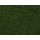 Végétation miniature : Feuillage dense vert foncé 20 x 23 cm - Noch 07301