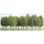 Végétation miniature : 12 arbres à feuilles caduques - Busch 06486 6486