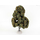 Chêne automne - arbre miniature naturel 18 cm - FR 55691