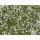 Végétation miniature : Feuillage couvre sol, Pré blanc - Noch 07256