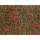 Végétation miniature : Feuillage couvre sol, Pré rouge - Noch 07257