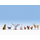 Figurines miniatures : Animaux de la ferme - 0, 1:42,5 - Noch 17903