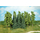 Heki 1414 - 14 Arbres feuillus miniatures 14 - 16 cm