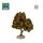 Platane automne - arbre miniature naturel 18 cm - FR-ATB/26790