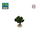 FR-ATB/42593P - 10 pieds de vignes vertes 4 cm