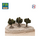FR-ATB/43593P - 10 pieds de vignes automnes 4 cm