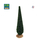 2 Cyprès de provence 18 cm pour crèches provençales - FR-ATB61793