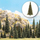 Végétation miniature : Assortiment de 15 sapins de 5 à 13,5 cm au 1/87 - Busch 06470 6470