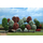 Végétation miniature : Assortiment de 18 arbres 4-7cm - Busch 06584  6584