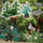 Végétation miniature : Chanvre et coquelicots au 1/87 - Busch 1250 - 01250