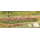 Vegetation miniature : Heki 1811 : bandes d'herbe verte 10 cm