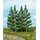 Végétation miniature - 4 sapins 17 cm - Heki 2122