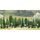 Végétation miniature : 35 arbres à feuilles et sapins au 1/87 HO - Busch 06490