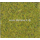 Heki 1575 - Toison Herbe longue, vert clair. 14 X 28 cm, 5 mm