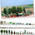 Busch 1211 - Assortiment de fleurs, plantes et accessoires de jardin 1:87 - HO
