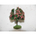 2 arbres fruitiers 8 cm