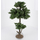 Orme miniature 29 cm - FR 29149