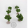 FR-ATB/42593P - 10 pieds de vignes vertes 4 cm