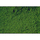 Heki 1612 : flocage pour feuillage - 200ml - vert foncé
