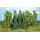 Heki 1416 - 15 arbres et sapins assortis 12 - 16 cm