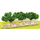 Végétation miniature : 1 rangée de vignes vertes miniatures