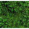 Heki 1563 - Flocage d'arbres et buissons. Sac de 200 ml. Feuillage vert
