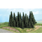 Végétation miniature - Forêt de 24 sapins 5 à 11 cm - Heki 2261