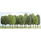 Végétation miniature : 12 arbres à feuilles caduques - Busch 06486 6486