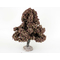Châtaignier automne - arbre miniature naturel 18 cm - FR-ATB/57690