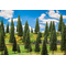 Végétations miniatures : 10 Sapins, assortis - 1:87 HO, 1:120 TT - Faller 181537