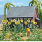 Végétation miniature : 6 plants de 3 tournesols au 1/87 - Busch 1261