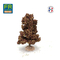 Châtaignier automne - arbre miniature naturel 18 cm - FR-ATB/57690