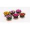 6 buissons fleuris tachetés pour crèches, dioramas, décors de paysages divers - FR-B097/S