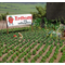 Végétation miniature : Fraisiers au 1/87 - Busch 1265 01265