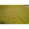 Végétation miniature : Heki 1840 - Herbes sauvages de savane 45 x 17 cm